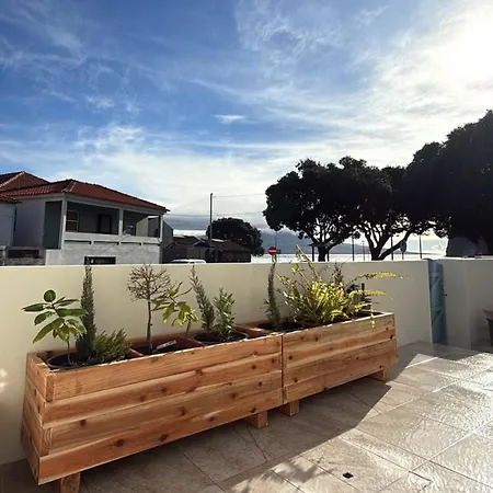 Okto Loft