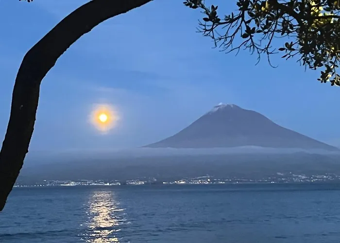 Okto Loft アパート