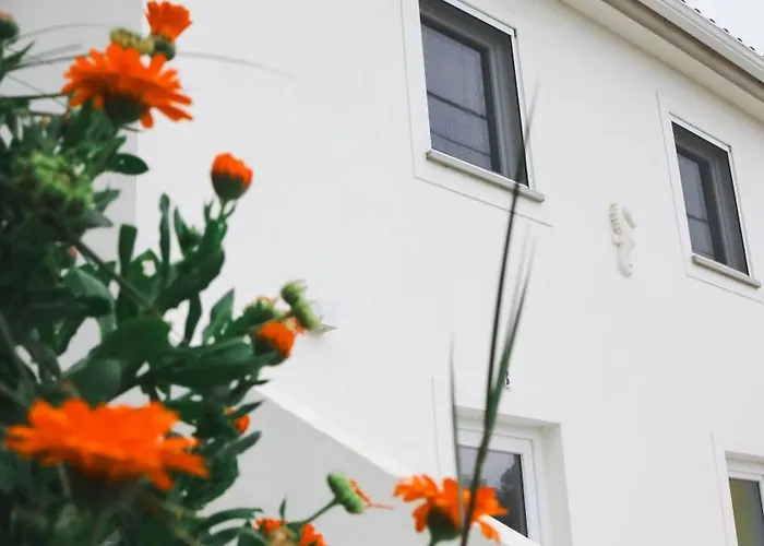 Okto Loft * Praia do Almoxarife